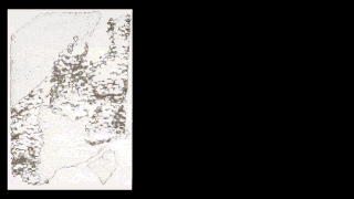 Schwarz-weißes abstraktes Muster, das einer Ansammlung von Punkten und Linien auf hellem Hintergrund ähnelt und die linke Seite des Bildes einnimmt, mit einem durchgehenden schwarzen Rand auf der rechten Seite.