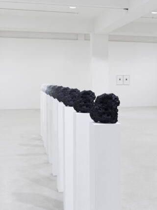 Eine Reihe dunkler Vulkangesteine, ausgestellt auf weißen Sockeln in einem minimalistischen Galerieraum mit weißen Wänden.