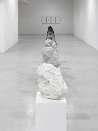 Eine Reihe strukturierter, felsähnlicher Skulpturen, deren Farbe allmählich von Weiß zu Schwarz wechselt, werden auf Sockeln in einem minimalistischen Galerieraum ausgestellt, an der gegenüberliegenden Wand hängen gerahmte Kunstwerke.