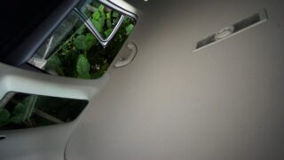 Blick auf eine Autodecke mit offenem Griff und teilweise geöffnetem Fenster, durch das draußen grüne Blätter zu sehen sind.