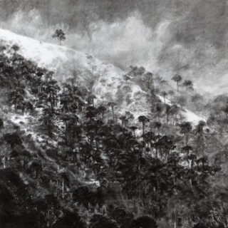 Ein Schwarzweißbild eines bewaldeten Hügels mit vereinzelten Kiefern und Wolken am Himmel darüber.