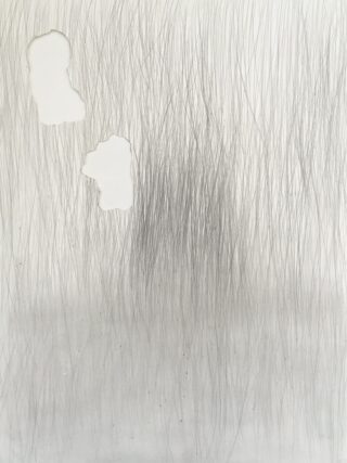 Ein weißer Hintergrund mit zwei unregelmäßigen weißen Formen oben links und vielen dünnen, vertikalen Graphitlinien, die den größten Teil der Oberfläche bedecken.