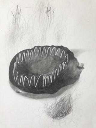 Eine Bleistiftzeichnung eines unregelmäßig geformten Objekts mit gezackten, zahnähnlichen Kanten, umgeben von dünnen Linien und abstrakten Markierungen auf einem einfachen Hintergrund.