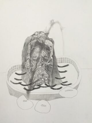 Eine Bleistiftzeichnung eines zerknitterten Objekts in einem Korb mit Wellenlinien darunter und zwei ovalen Formen im Vordergrund auf einem einfachen Hintergrund.