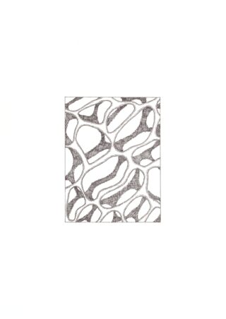 Ein quadratischer Bereich, gefüllt mit unregelmäßigen, miteinander verbundenen Formen, die mit Bleistift schattiert sind und abstrakten organischen oder zellulären Mustern ähneln, zentriert auf einem schlichten weißen Hintergrund.