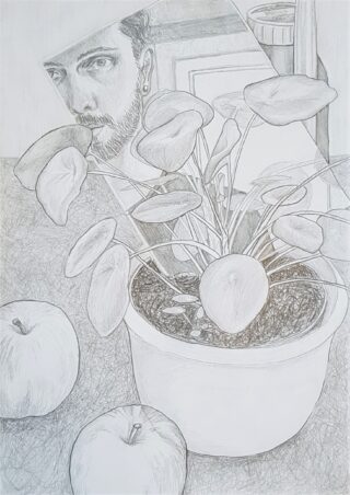Eine Bleistiftzeichnung einer Topfpflanze auf einem Tisch mit zwei Äpfeln und einer teilweisen Spiegelung des Gesichts einer Person in einem Spiegel oder Fenster im Hintergrund.