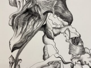 Abstrakte Schwarzweiß-Bleistiftzeichnung mit organischen, fließenden Formen und Texturen, die Pflanzenformen auf einem einfachen Hintergrund ähneln.