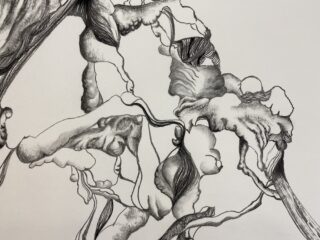 Abstrakte Schwarzweiß-Bleistiftzeichnung mit organischen, fließenden Formen und strukturierten Schattierungen, die an ineinander verschlungene Wurzeln oder Formen erinnern.