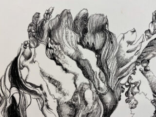 Detaillierte Bleistiftzeichnung abstrakter, geschichteter Blätter und organischer Formen mit komplizierter Schattierung und strukturierten Linien auf hellem Hintergrund.