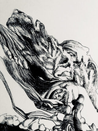 Abstrakte Schwarz-Weiß-Skizze mit organischen Formen und fließenden Linien, die an eine Mischung aus Felsformationen und dynamischer Bewegung erinnern.