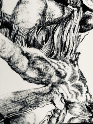 Schwarz-Weiß-Skizze muskulöser menschlicher Gliedmaßen und des Rumpfes mit Schwerpunkt auf detaillierten Linien und Schattierungen, um Muskeldefinition und -struktur hervorzuheben.