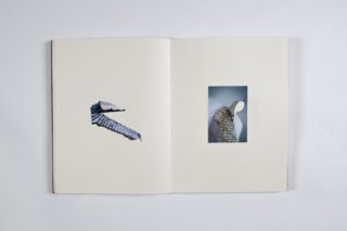 Ein offenes Buch mit zwei abstrakten Bildern, eines auf jeder Seite; beide Bilder zeigen strukturierte, reptilienartige Muster auf weißem Hintergrund.