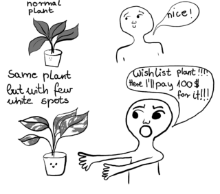 Ein Comic, der eine Person zeigt, die eine normale Pflanze bewundert, dann begeistert ist und 100 $ für dieselbe Pflanze mit ein paar weißen Flecken bietet.