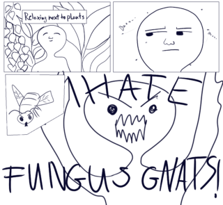 Ein Comic zeigt eine Person, die sich bei Pflanzen entspannt und dann von Mücken genervt wird. Über einem wütenden Gesicht steht in Fettdruck „ICH HASSE TRAUERMÜCKEN!“.