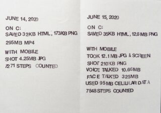 Auf zwei Seiten werden datierte Aufzeichnungen digitaler Dateien, mobiler Nutzung, Speichermengen und Schrittzahlen angezeigt, organisiert in Listenform für den 14. und 15. Juni 2020.