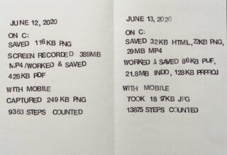 Zwei Seiten mit datierten Protokollen vom 12. und 13. Juni 2020, in denen in maschinengeschriebener Form die gespeicherten Dateigrößen, Formate, mobilen Daten und Schrittzahlen aufgelistet sind.
