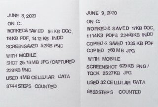 Zwei getippte Listen vom 8. und 9. Juni 2020 enthalten detaillierte Angaben zu täglichen digitalen Aktivitäten wie bearbeiteten, gespeicherten und kopierten Dateien, erstellten Screenshots, verwendeten Daten und gezählten Schritten.