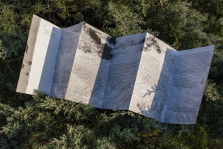 Ein gefaltetes, gedrucktes Dokument mit Text und Graustufenbildern liegt offen auf grünen, belaubten Zweigen im Freien.