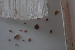 Abblätternde Farbe und Wandfragmente hängen von einem beschädigten, teilweise abgelösten Laken an einer hellen Wand und deuten auf Vernachlässigung oder Verfall hin.