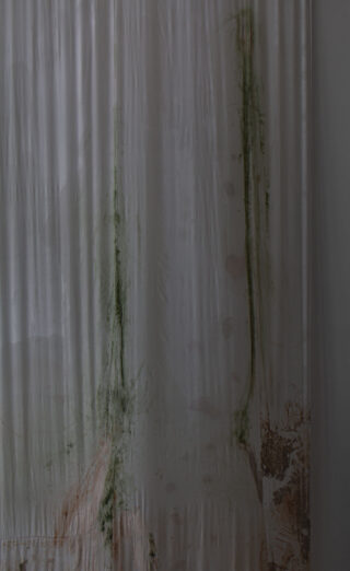 Ein grauer Duschvorhang mit sichtbarem grünem Schimmel und braunen Flecken entlang der Unterkante und vertikalen Streifen.