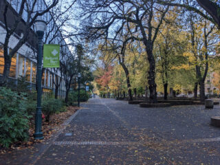 Ein von Bäumen gesäumter Gehweg auf dem Campus der Portland State University mit verstreuten Herbstblättern und einem Campus-Schild an einem Laternenpfahl.