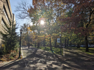 Sonnenlicht fällt durch die Herbstbäume, die einen gepflasterten Gehweg auf einem Universitätscampus säumen. Auf der linken Seite ist ein Gebäude zu sehen und in der Nähe von Laternenpfählen ist ein Campus-Schild zu sehen.
