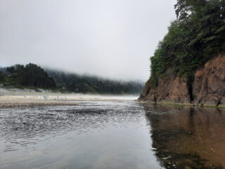Eine neblige Strandszene mit einem ruhigen Gewässer im Vordergrund, bewaldeten Hügeln im Hintergrund und einer Felsklippe auf der rechten Seite.