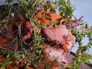 Eine Person, zusammengerollt auf einer Holzoberfläche, teilweise bedeckt von verschiedenen grünen Zweigen, Blättern und Blumen vor einem blauen Hintergrund.