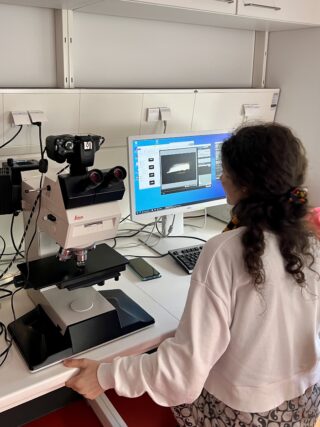 Eine Person verwendet in einer Laborumgebung mit wissenschaftlicher Ausrüstung ein Mikroskop, das an einen Computer angeschlossen ist, der ein Bild anzeigt.