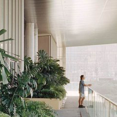 Eine Person steht auf einem modernen Balkon mit Glasgeländer, umgeben von üppigen grünen Pflanzen, und blickt nach draußen.