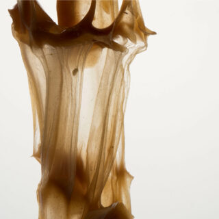 Eine Nahaufnahme eines durchscheinenden, gespannten, bräunlichen Stoffblatts mit einer unregelmäßigen, organischen Textur vor einem schlichten weißen Hintergrund.