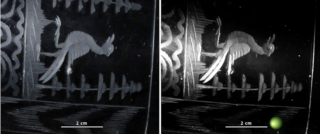 Nebeneinanderliegende Schwarz-Weiß-Bilder zeigen eine Vogelgravur. Das rechte Bild zeigt einen grün hervorgehobenen Punkt in der unteren rechten Ecke. Beide Bilder enthalten einen 2-cm-Maßstab.