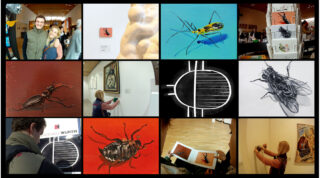 Eine Collage aus zwölf Fotos zeigt Menschen, die in einer Galerie Kunst mit Insektenmotiven betrachten und fotografieren, sowie Nahaufnahmen verschiedener Insektenkunstwerke.