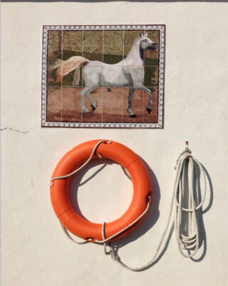 Ein Fliesengemälde eines weißen Pferdes über einem orangefarbenen Rettungsring mit einem aufgerollten Seil, montiert auf einer schlichten weißen Wand.