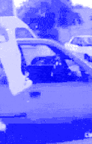 Ein Vogel fliegt in das offene Fenster eines geparkten Autos, im Hintergrund sind weitere Autos auf einem Parkplatz zu sehen.