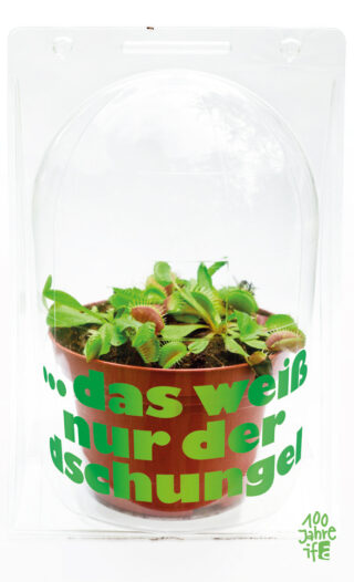 Eine Venusfliegenfalle im Topf, eingeschlossen in einer durchsichtigen Plastikkuppel, mit dem deutschen Text auf dem Deckel: „… das weiß nur der Dschungel.“.