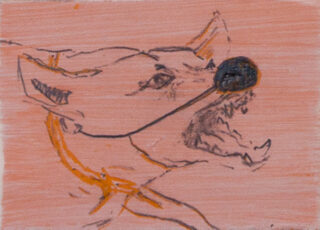 Eine Skizze eines Hundekopfes mit offenem Maul und sichtbaren Zähnen, gezeichnet mit groben Linien auf einem rosafarbenen Hintergrund.