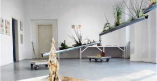 Kunstinstallation in einem Galerieraum mit Metallträgern, die Pflanzen halten, Steinen auf Plattformen mit Rädern und botanischen Kunstwerken an weißen Wänden.