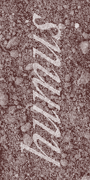 Das Wort „SUMMIT“ erscheint in fettem, weißem, diagonalem Text auf einem strukturierten braun-weiß gepunkteten Hintergrund, der an unwegsames Gelände oder Stein erinnert.