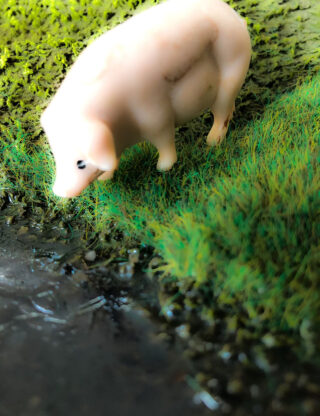 Eine kleine, blasse Schweinefigur steht auf grünem Gras am Rand eines Gewässers, im Hintergrund ist moosbewachsenes Gelände zu sehen.