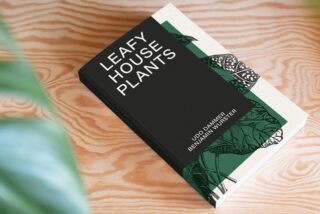 Auf einer Holzfläche liegt ein Buch mit dem Titel „Blätterige Zimmerpflanzen“ von Udo Dammer und Benjamin Wurster, im Vordergrund ist ein angeschnittenes grünes Pflanzenblatt zu sehen.