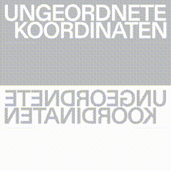 Der weiße Text „UNGEORDNETE KOORDINATEN“ wird in Großbuchstaben auf grauem Hintergrund angezeigt, darunter befindet sich eine gespiegelte Version des Textes.