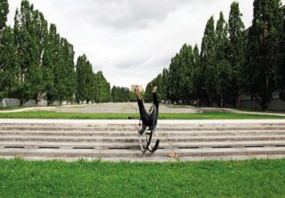 Eine Person stürzt beim Versuch, eine Betontreppe hinunterzufahren, mit dem Fahrrad. Hohe Bäume säumen die Szene auf beiden Seiten.