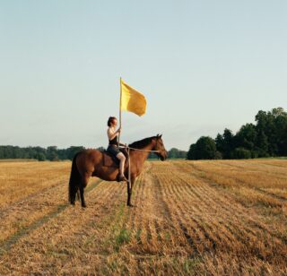 Eine Person in Shorts sitzt auf einem braunen Pferd auf einem abgeernteten Feld und hält eine große gelbe Flagge hoch. Im Hintergrund sind Bäume und ein blauer Himmel zu sehen.