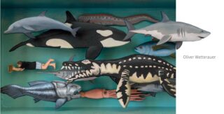 Eine Person schwimmt unter Wasser zwischen verschiedenen großen Meeresbewohnern, darunter Haien, einem Orca, einem Quastenflosser, einem Tintenfisch und prähistorischen Meeresreptilien.