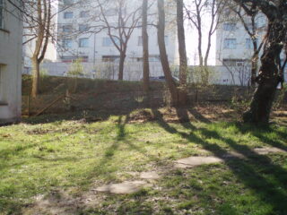 Eine Rasenfläche mit hohen Bäumen, die lange Schatten werfen, von einem Zaun begrenzt und im Hintergrund von weißen Wohnhäusern im Sonnenlicht.