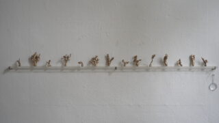 Eine Reihe kleiner, abstrakter, goldfarbener Skulpturen steht auf einem minimalistischen Glasregal an einer weißen strukturierten Wand. Ganz rechts hängt eine einzelne durchsichtige Schlaufe.