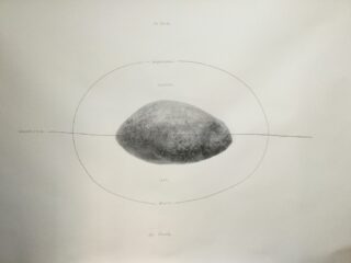 Eine Zeichnung eines einzelnen ovalen Objekts, möglicherweise eines Steins, in dessen Mitte sich ein handgezeichneter Kreis und eine horizontale Linie befinden, mit handgeschriebenen Wörtern um die Formen herum auf einem einfachen Hintergrund.