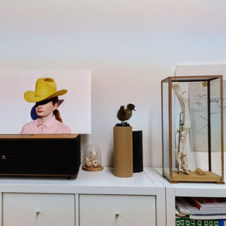 Ein Regal mit einem Foto einer Frau mit gelbem Hut, einem kleinen Vogelmodell, einer Glaskuppel mit Objekten und einer Vitrine mit Knochen und einem Diagramm.