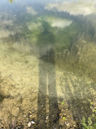 Der Schatten einer Person wird auf das klare, flache Wasser eines Teichs geworfen. Auf der Oberfläche sind Felsen, Wasserpflanzen und die Spiegelung von Wolken sichtbar.